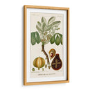 Turpin Exotic Palms Viii - Turpin | Cuadro decorativo de Canvas Lab