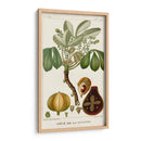 Turpin Exotic Palms Viii - Turpin | Cuadro decorativo de Canvas Lab