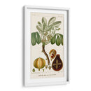 Turpin Exotic Palms Viii - Turpin | Cuadro decorativo de Canvas Lab