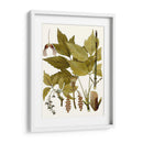 Hojas De Arce I | Cuadro decorativo de Canvas Lab