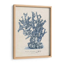 Estudio De Coral De Mar Iv - Melissa Wang | Cuadro decorativo de Canvas Lab