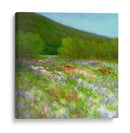 Flores De Half Moon Bay Ii - Sheila Finch | Cuadro decorativo de Canvas Lab