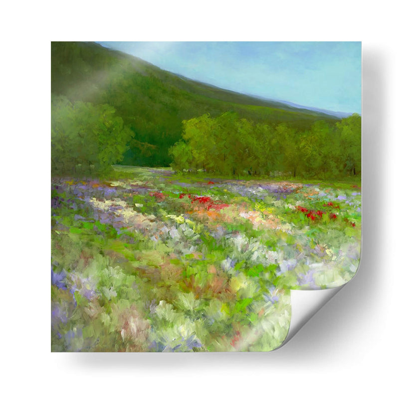 Flores De Half Moon Bay Ii - Sheila Finch | Cuadro decorativo de Canvas Lab