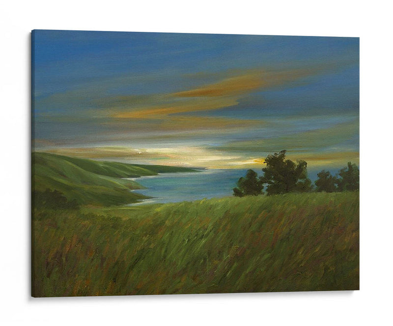 Cielo Al Atardecer - Sheila Finch | Cuadro decorativo de Canvas Lab