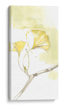 Ginkgo Triptych I - Jennifer Goldberger | Cuadro decorativo de Canvas Lab