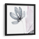 Blush Flor Splash I - Jennifer Goldberger | Cuadro decorativo de Canvas Lab