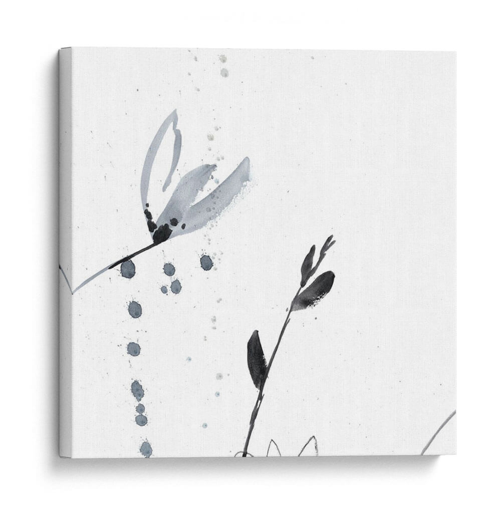 Blush Flower Splash Ii - Jennifer Goldberger | Cuadro decorativo de Canvas Lab