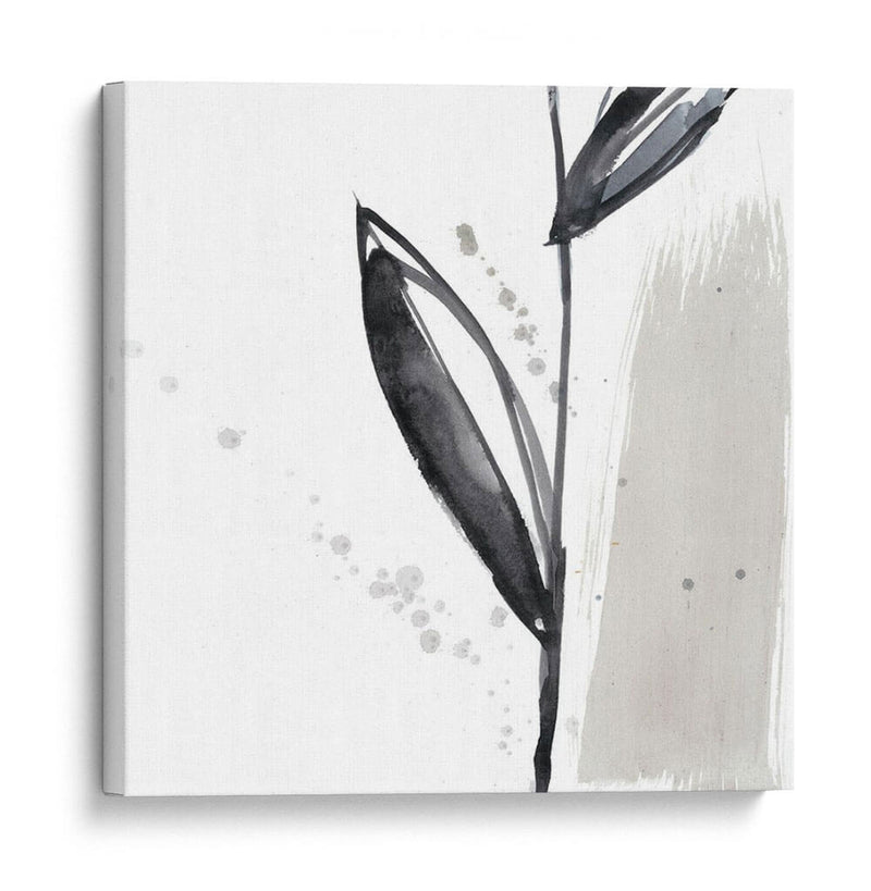 Blush Flower Splash Iv - Jennifer Goldberger | Cuadro decorativo de Canvas Lab