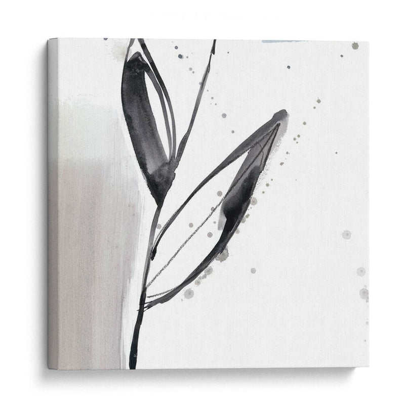 Blush Flower Splash Ix - Jennifer Goldberger | Cuadro decorativo de Canvas Lab