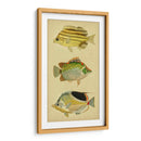 Trío De Peces Tropicales I - Vision Studio | Cuadro decorativo de Canvas Lab