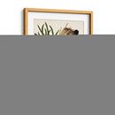 Antiguo Protea Iii | Cuadro decorativo de Canvas Lab