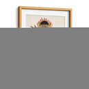 Antiguo Protea Vi | Cuadro decorativo de Canvas Lab