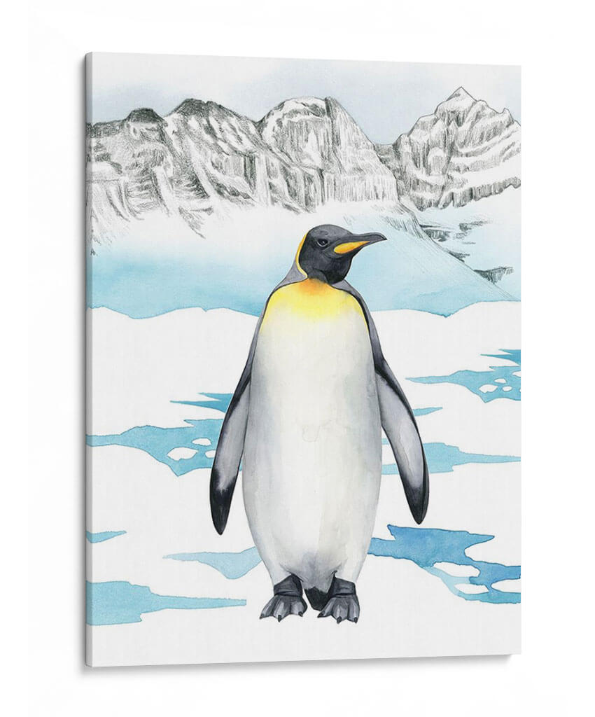 Animal Artico I - Grace Popp | Cuadro decorativo de Canvas Lab
