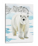 Ártico Animal Ii - Grace Popp | Cuadro decorativo de Canvas Lab
