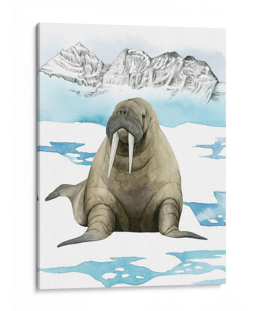 Animal Artico Iii - Grace Popp | Cuadro decorativo de Canvas Lab
