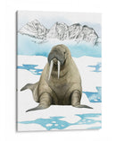 Animal Artico Iii - Grace Popp | Cuadro decorativo de Canvas Lab