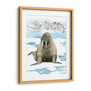 Animal Artico Iii - Grace Popp | Cuadro decorativo de Canvas Lab