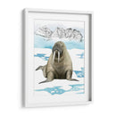 Animal Artico Iii - Grace Popp | Cuadro decorativo de Canvas Lab