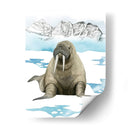 Animal Artico Iii - Grace Popp | Cuadro decorativo de Canvas Lab