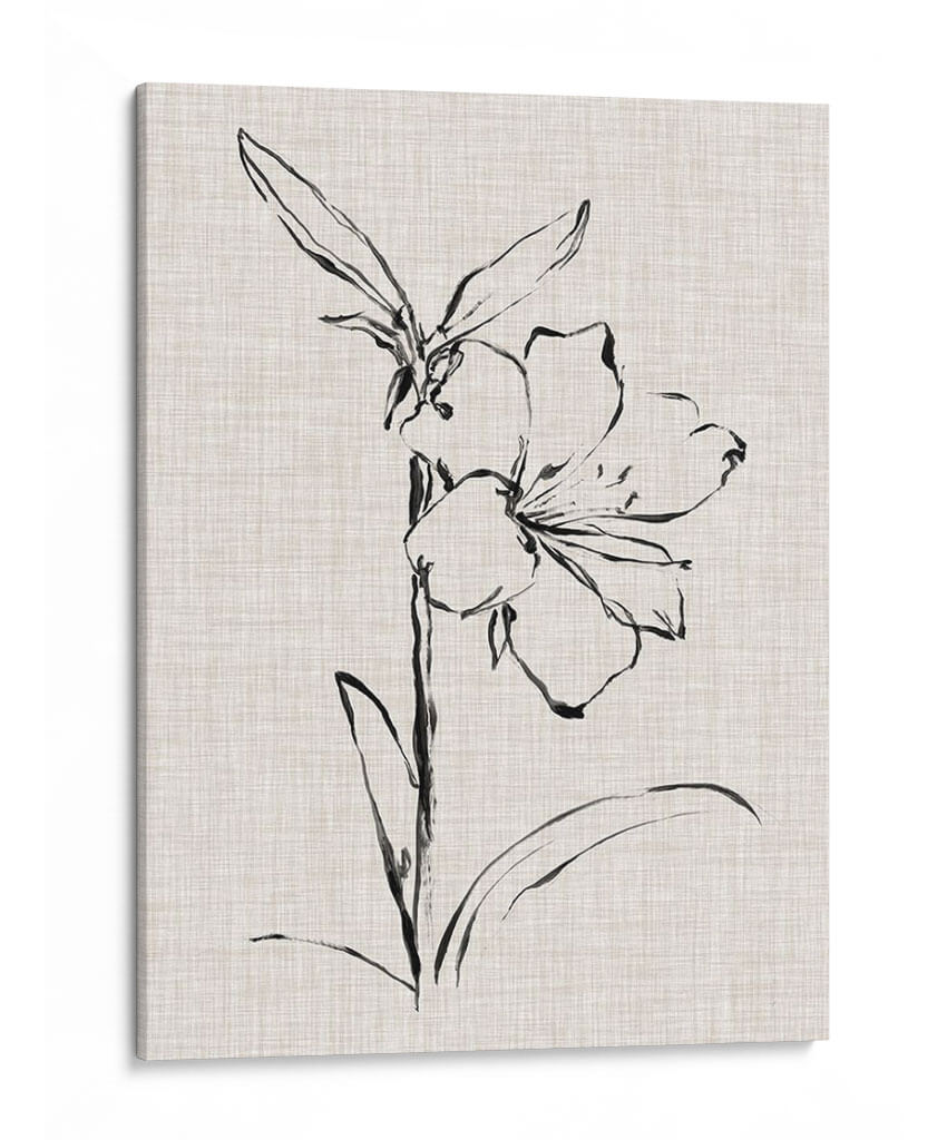 Estudio De Tinta Floral I - Ethan Harper | Cuadro decorativo de Canvas Lab
