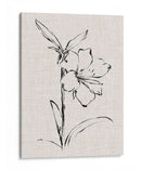 Estudio De Tinta Floral I - Ethan Harper | Cuadro decorativo de Canvas Lab
