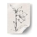 Estudio De Tinta Floral I - Ethan Harper | Cuadro decorativo de Canvas Lab