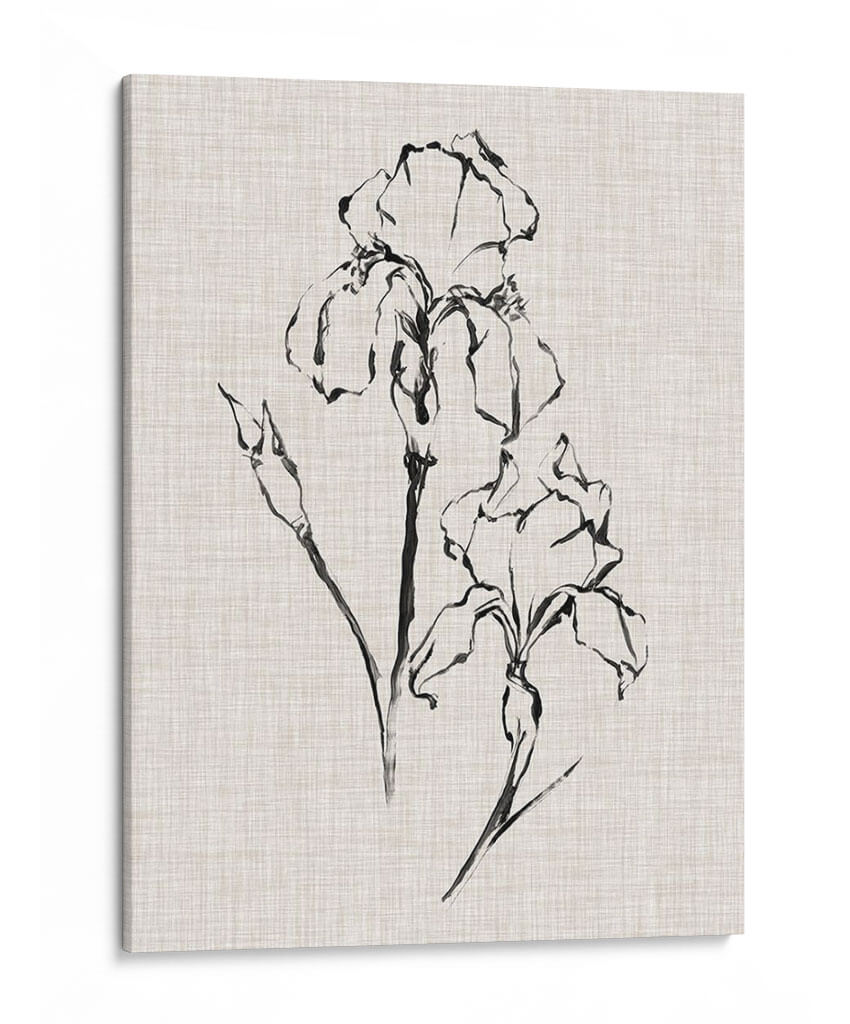 Estudio De Tinta Floral Ii - Ethan Harper | Cuadro decorativo de Canvas Lab