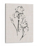 Estudio De Tinta Floral Ii - Ethan Harper | Cuadro decorativo de Canvas Lab