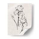 Estudio De Tinta Floral Ii - Ethan Harper | Cuadro decorativo de Canvas Lab