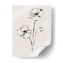 Estudio De Tinta Floral Iii - Ethan Harper | Cuadro decorativo de Canvas Lab