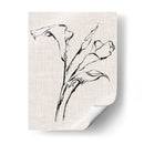 Estudio De Tinta Floral Iv - Ethan Harper | Cuadro decorativo de Canvas Lab