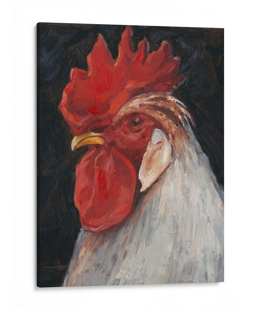 Gallo Retrato Ii - Ethan Harper | Cuadro decorativo de Canvas Lab