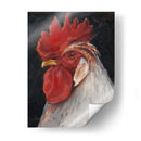 Gallo Retrato Ii - Ethan Harper | Cuadro decorativo de Canvas Lab