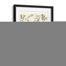 Olio Della Cucina Ii - Alan Paul | Cuadro decorativo de Canvas Lab