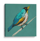 Bosquejo Alado Ii En Teal - Chariklia Zarris | Cuadro decorativo de Canvas Lab