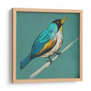 Bosquejo Alado Ii En Teal - Chariklia Zarris | Cuadro decorativo de Canvas Lab