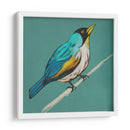 Bosquejo Alado Ii En Teal - Chariklia Zarris | Cuadro decorativo de Canvas Lab