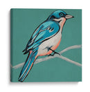 Bosquejo Alado Iv En Teal - Chariklia Zarris | Cuadro decorativo de Canvas Lab