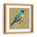 Bosquejo Alado Ii En Ocre - Chariklia Zarris | Cuadro decorativo de Canvas Lab