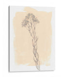 Rama En Rubor I - Jennifer Goldberger | Cuadro decorativo de Canvas Lab