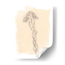 Rama En Rubor I - Jennifer Goldberger | Cuadro decorativo de Canvas Lab