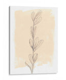 Rama En Blush Ii - Jennifer Goldberger | Cuadro decorativo de Canvas Lab