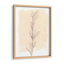 Rama En Blush Ii - Jennifer Goldberger | Cuadro decorativo de Canvas Lab