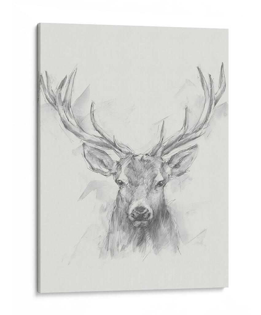 Bosquejo De Alces Contemporáneo I - Ethan Harper | Cuadro decorativo de Canvas Lab