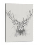 Bosquejo De Alces Contemporáneo I - Ethan Harper | Cuadro decorativo de Canvas Lab