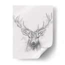Bosquejo De Alces Contemporáneo I - Ethan Harper | Cuadro decorativo de Canvas Lab
