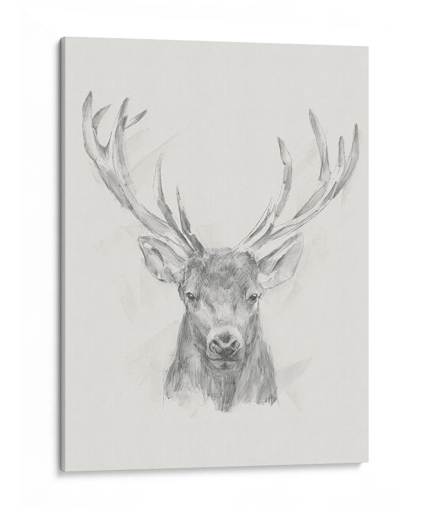 Bosquejo De Alces Contemporáneos Ii - Ethan Harper | Cuadro decorativo de Canvas Lab