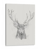 Bosquejo De Alces Contemporáneos Ii - Ethan Harper | Cuadro decorativo de Canvas Lab