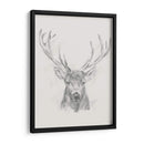 Bosquejo De Alces Contemporáneos Ii - Ethan Harper | Cuadro decorativo de Canvas Lab