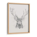 Bosquejo De Alces Contemporáneos Ii - Ethan Harper | Cuadro decorativo de Canvas Lab